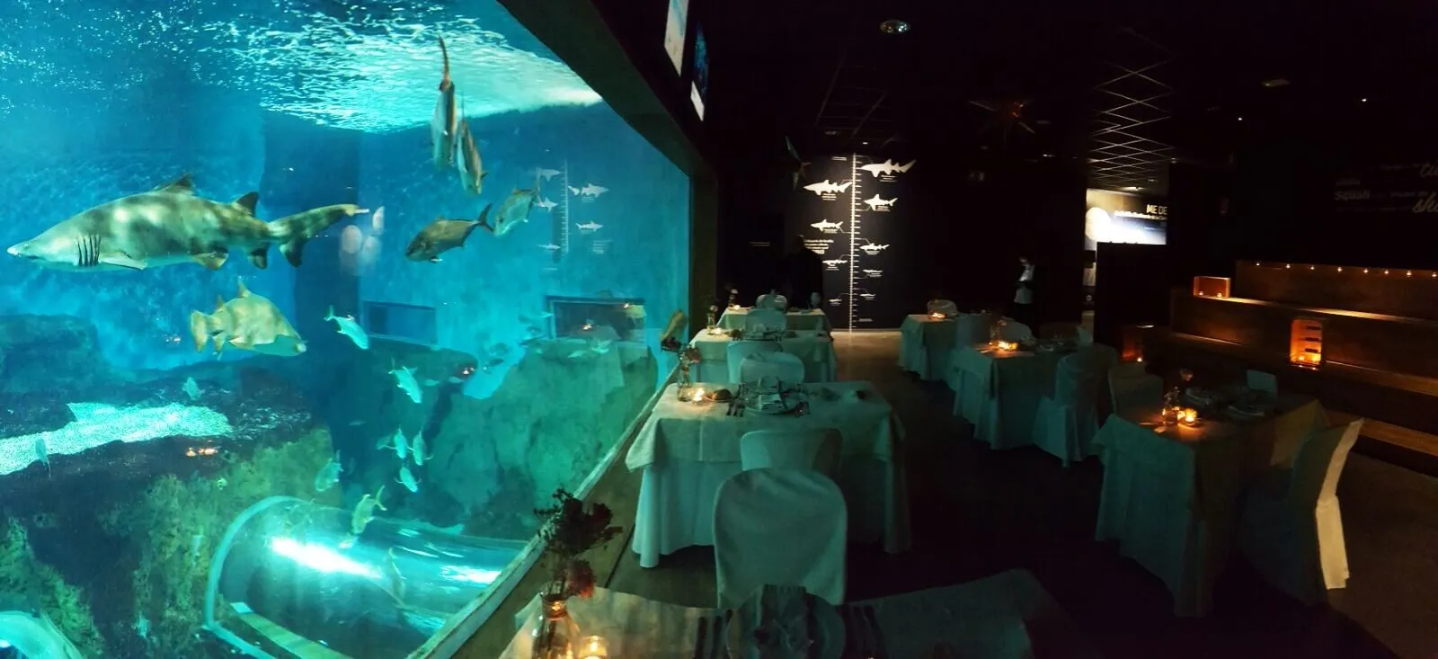 Acuario de Sevilla en Sevilla